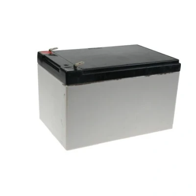 Afbeelding van Accu tractie 12 volt 12ah