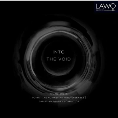 Afbeelding van Into The Void