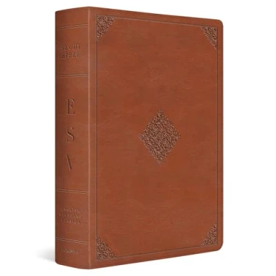 Afbeelding van ESV Study Bible