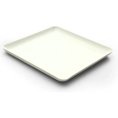 Afbeelding van Bagastro Suikerriet Bord Vierkant 20x20x1,5cm 40st.