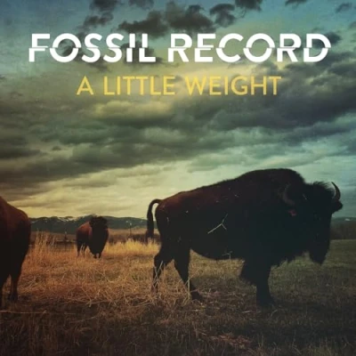 Afbeelding van Fossil Record A Little Weight (LP)