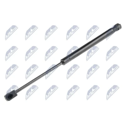 Afbeelding van NTY AE KA 018 Gasveer achterklep 480 203