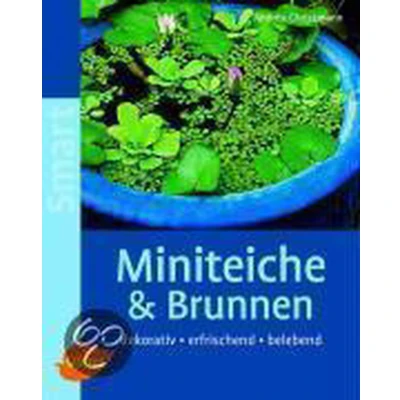 Afbeelding van Miniteiche und Brunnen