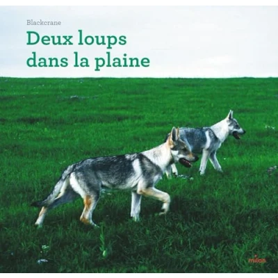 Afbeelding van DEUX LOUPS DANS LA PLAINE