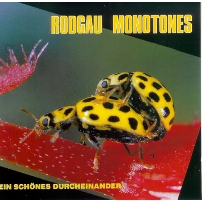 Afbeelding van Rodgau Monotones Ein Schones Durcheinander (CD)