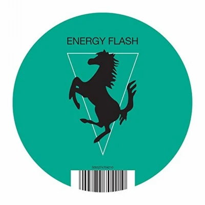 Afbeelding van Energy Flash (2014 Reissue, 1 Sided Vinyl)