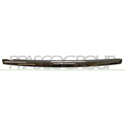 Afbeelding van PRASCO FD4262206 Sier / Beschermingspaneel, radiateurgrille