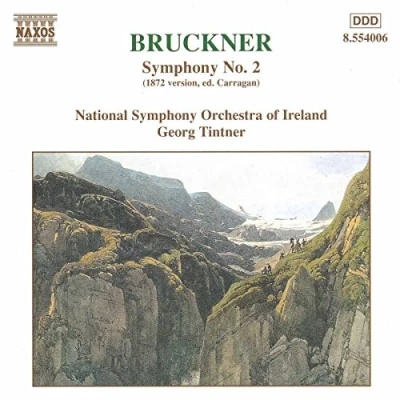 Afbeelding van National Symphony Orchestra Of Irel Bruckner: No.2 (CD)