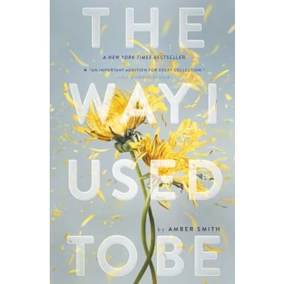 Afbeelding van The Way I Used to Be