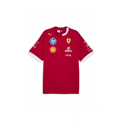 Afbeelding van Puma Tshirt print, Heren, Maat: Large, Dark cherry
