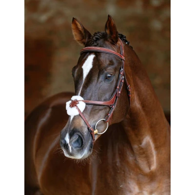 Afbeelding van LeMieux Kudos Grackle Hoofdstel Cob