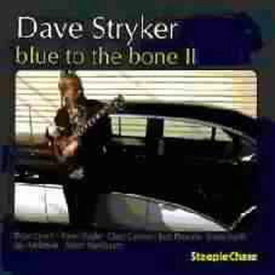 Afbeelding van Dave Stryker Blue To The Bone II (CD)