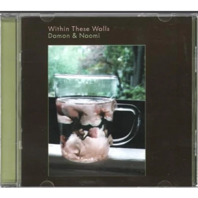Afbeelding van Damon &amp; Naomi Within These Walls (CD)