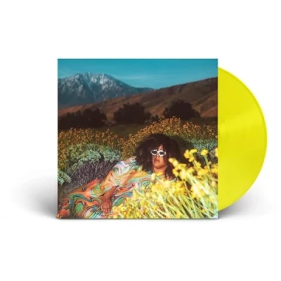 Afbeelding van Brittany Howard What Now (LP) Vinyl LP / 09 02 2024