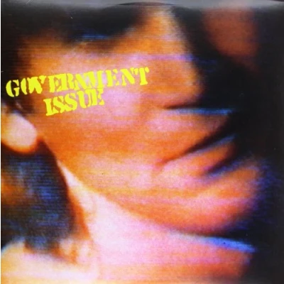 Afbeelding van Government Issue The Fun Just Never Ends (LP)