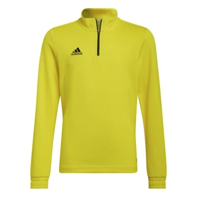 Afbeelding van adidas Performance Entrada Sweater voor kinderen, Maat: 164, Tmyell black