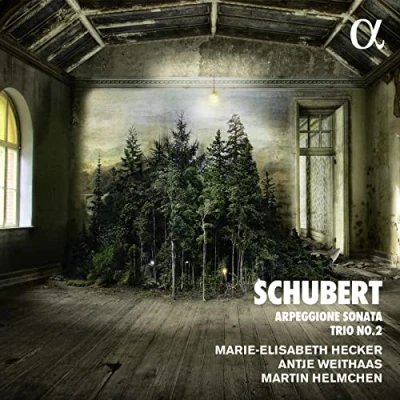 Afbeelding van Marie Elisabeth Hecker Antje Weithaas Martin H Arpeggione Sonata &amp; Trio No.2 (CD)