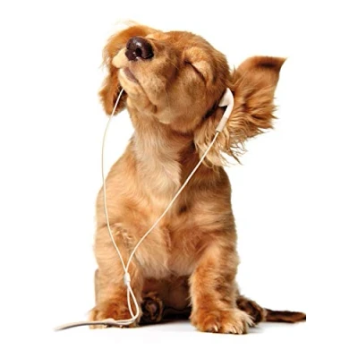 Afbeelding van Edition Colibri 11087 ansichtkaart voor honden en katten