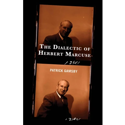 Afbeelding van The Frankfurt School in New Times Dialectic of Herbert Marcuse