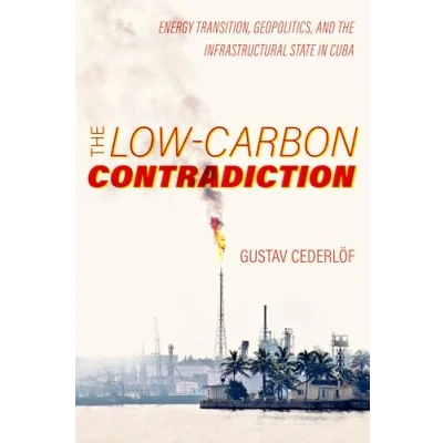 Afbeelding van Critical Environments: Nature, Science, and Politics The Low Carbon Contradiction