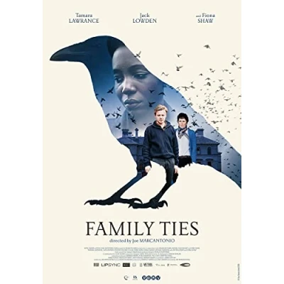 Afbeelding van Family Ties (DVD)