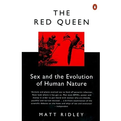 Afbeelding van Red Queen