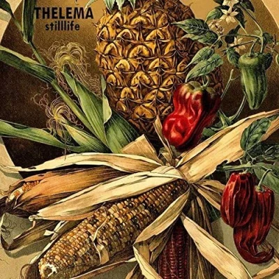 Afbeelding van Thelema Stilllife (LP)