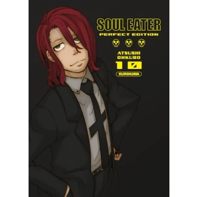 Afbeelding van SOUL EATER,10 (PERFECT EDITION)