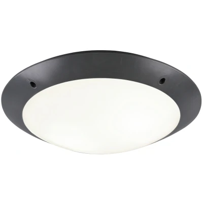 Afbeelding van REALITY CAMARO Plafondlamp Antraciet excl. 2x E27 4,9W Buitenverlichting IP54