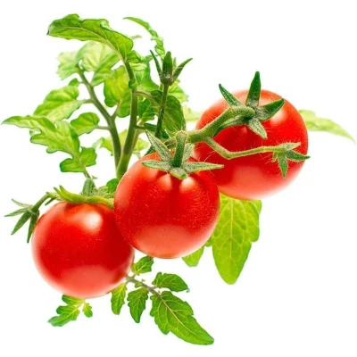 Afbeelding van Click And Grow navulling Tomaat