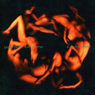 Afbeelding van A Fever Dream