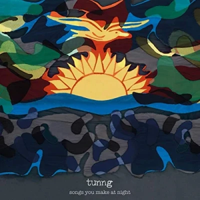 Afbeelding van Tunng Songs You Make At Night (LP)