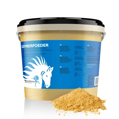 Image de Gingembre Cheval 1000 gr. Epices