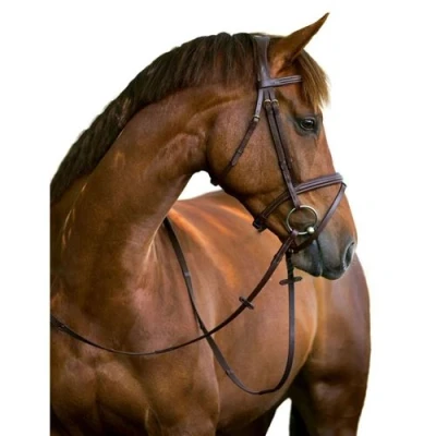 Image de Kerbl Bridon Classic Cuir sans mors Marron classiqueVendu par Agradi