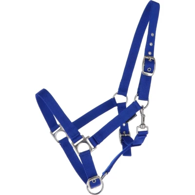 Afbeelding van Harry&#039;s Horse Halster 3x Verstelbaar Blauw Cob