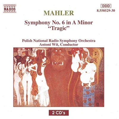 Afbeelding van Polish Nrso Symphony 6 Tragic (2 CD)