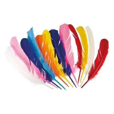 Image de 12 plumes colorées indiens 44135