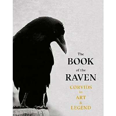 Afbeelding van the Book of Raven