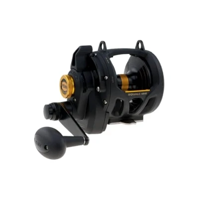 Afbeelding van Penn Squall 16VS Lever Drag 2speed Reel