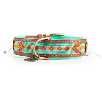 Afbeelding van Dwam Halsband Paddy Lee Turquoise Hondenhalsband 49 56x4 cm