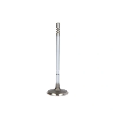 Afbeelding van Inlaatklep FRECCIA R6597/SCR