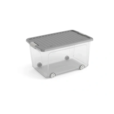 Afbeelding van Kis W Box L 50L Transparant/grijs