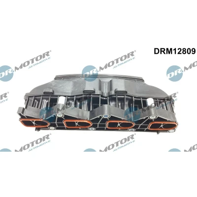 Afbeelding van Zuigbuismodule Dr.Motor Automotive DRM12809