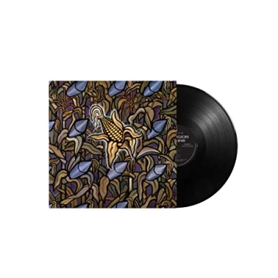 Afbeelding van Bad Religion Against the Grain (LP)