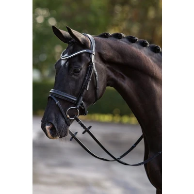 Afbeelding van HB Hoofdstel Stars Zwart Full