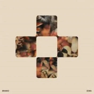 Afbeelding van Branko Soma (LP)