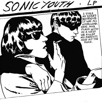 Afbeelding van Sonic Youth Goo (LP)