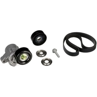 Afbeelding van Gates Poly V riemen kit K046PK2625