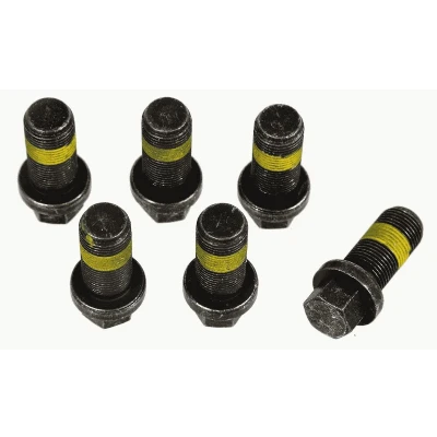 Afbeelding van Schroevenset, vliegwiel SACHS 1874 000 069