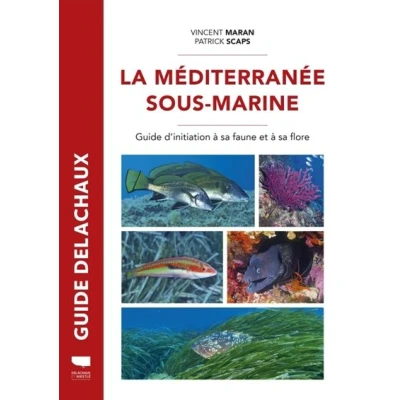 Image de Méditerranée sous marine